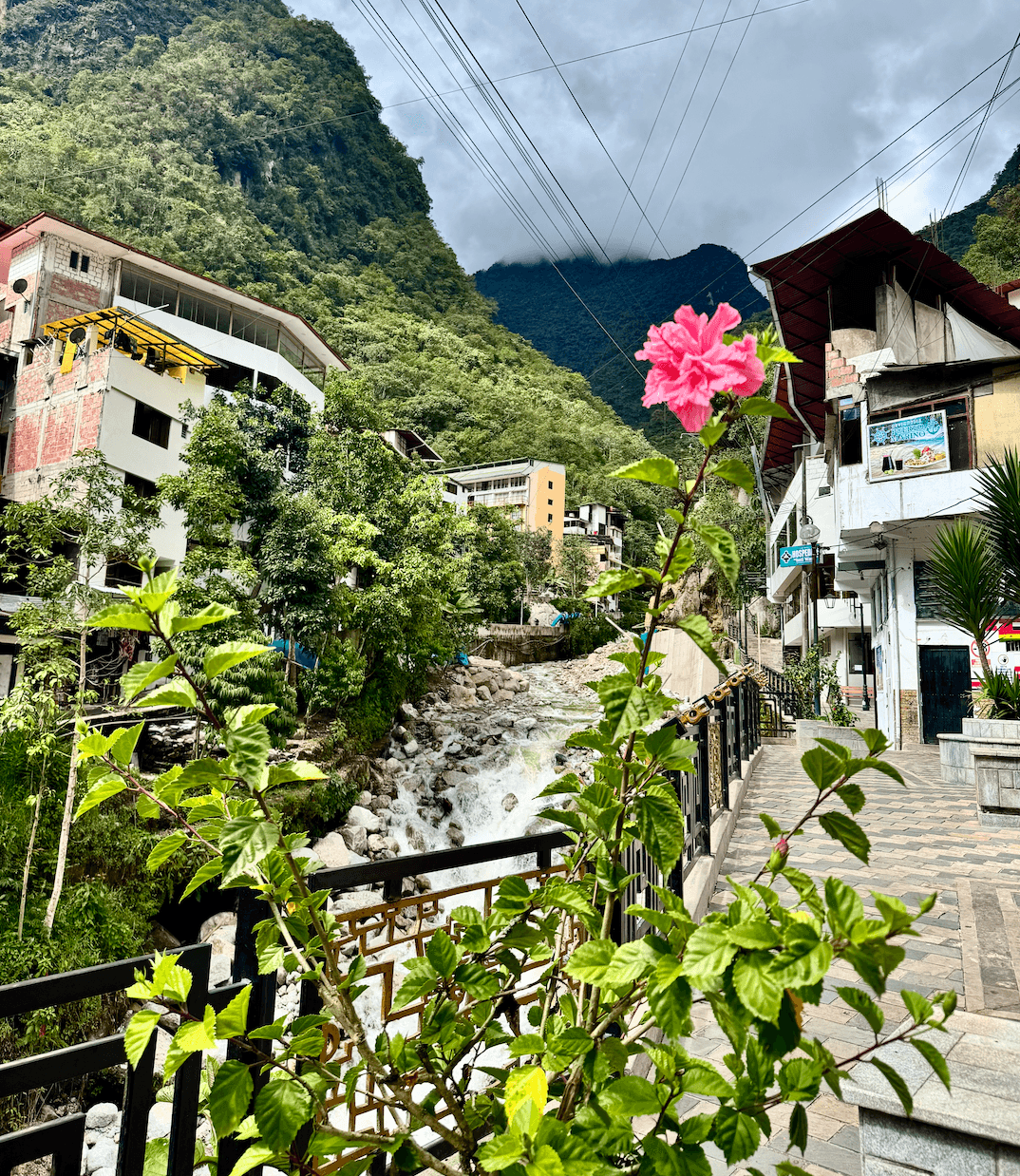 Aguas Calientes - View of town and foliage