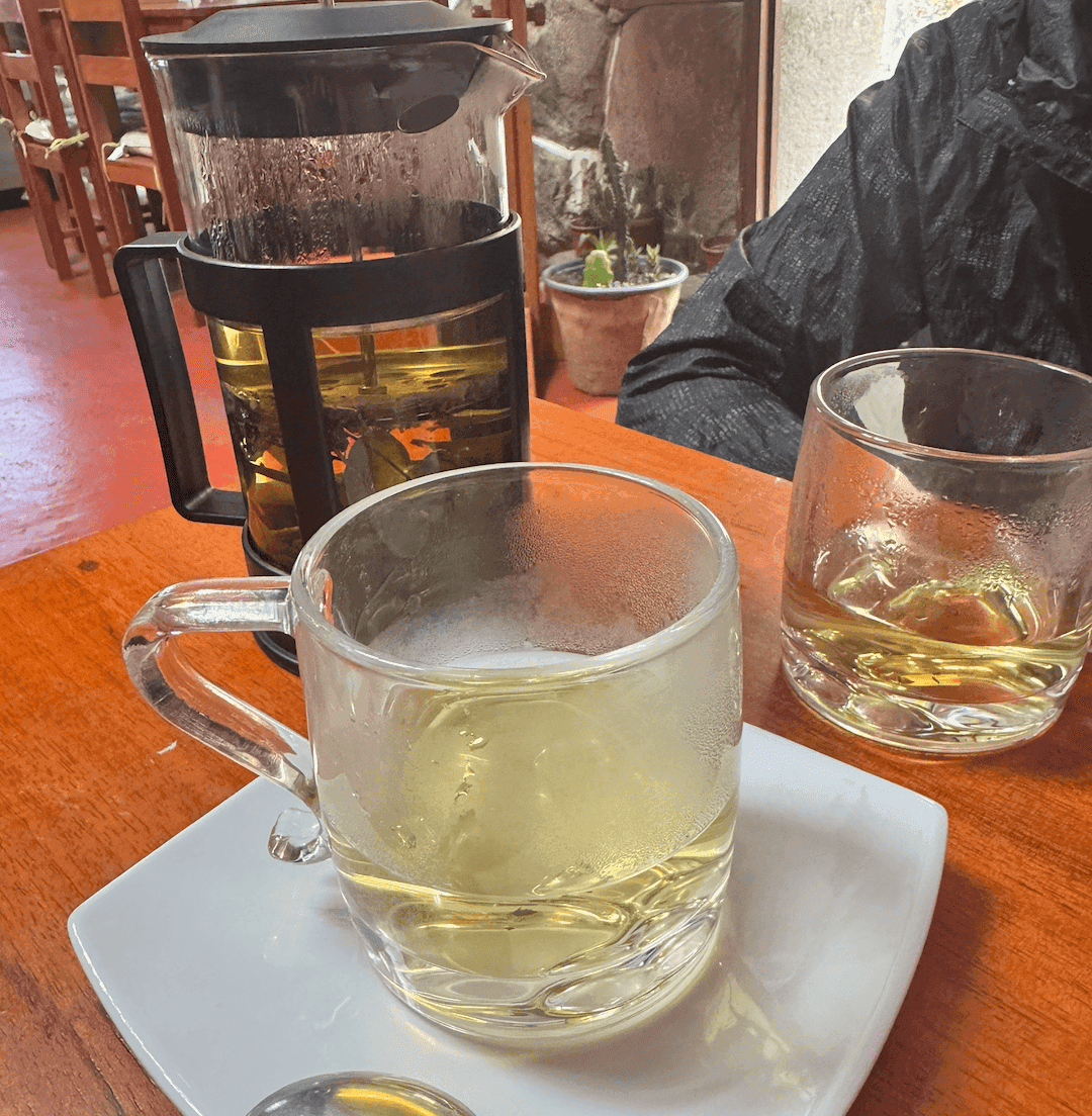 Ashka - Coca Tea in a French Press