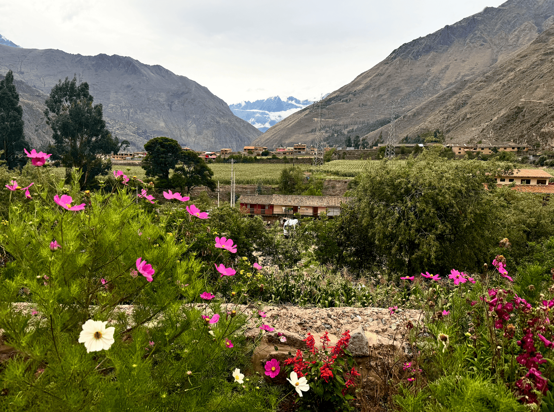 Ollantaytambo Vegan Food and Travel Guide: My Favorite Restaurants and Travel Tips